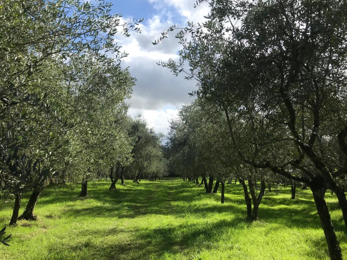 Agriturismo Podere I' Caldino 트로기 외부 사진